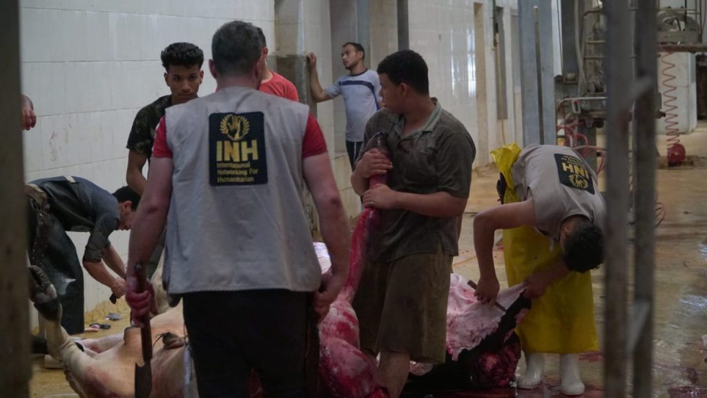 Baznas dan INH salurkan 163 hewan kurban untuk warga Gaza Palestina 1 inh gaza kurban